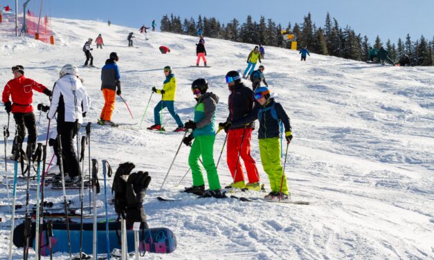 Warum Almwirtschaft Österreichs Skipisten leistbar hält