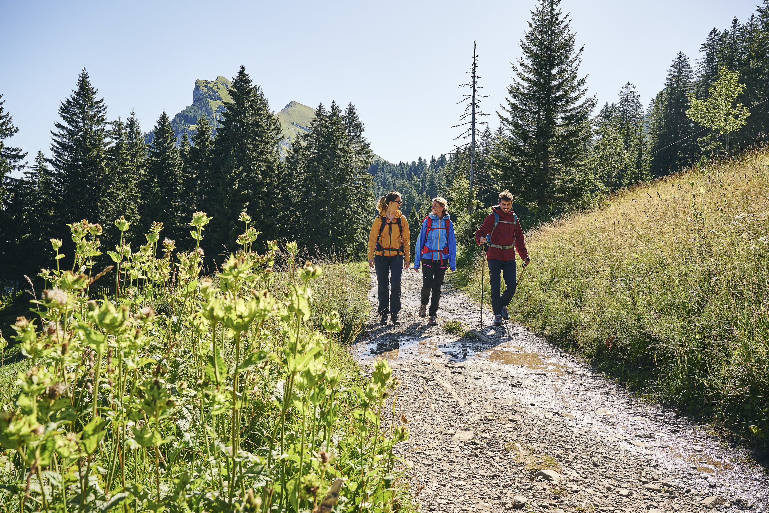Neue „Gäste-Card Bregenzerwald & Großes Walsertal”