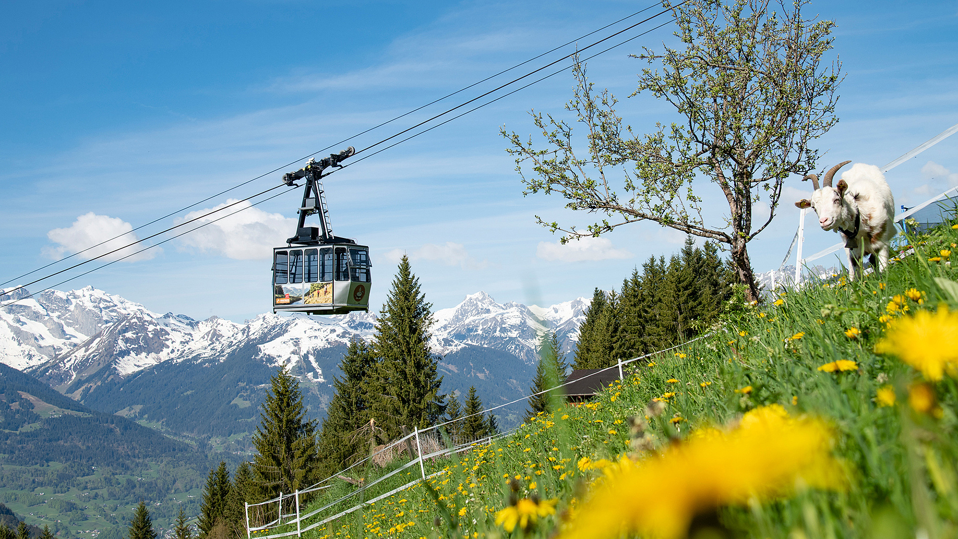 Foto: Montafoner Kristbergbahn Silbertal GmbH/Patrick Saely